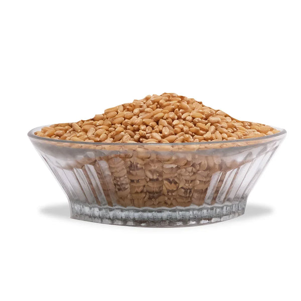 WHEAT MP BHOJAN SAMRAT GINI 1 KG || S10